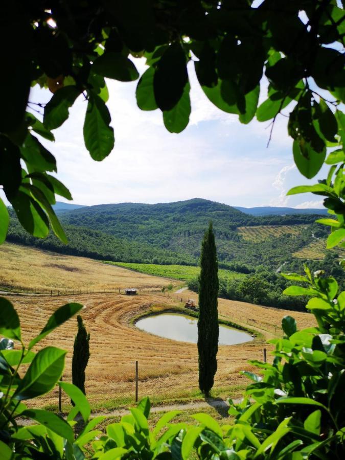 Agriturismo Selvella Allerona Exterior foto