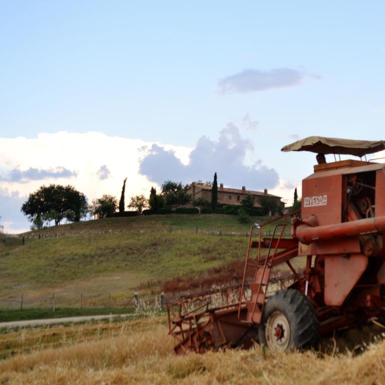 Agriturismo Selvella Allerona Exterior foto